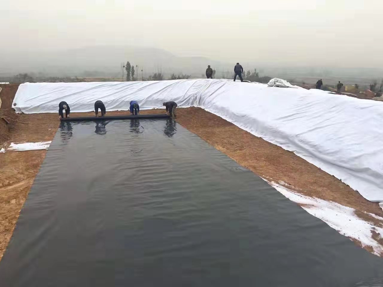 為何通常推薦養(yǎng)殖大戶(hù)應(yīng)用黑色的土工膜?